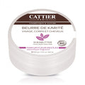 Cattier Beurre De karité Parfum Fleur Des Iles Bio 100g